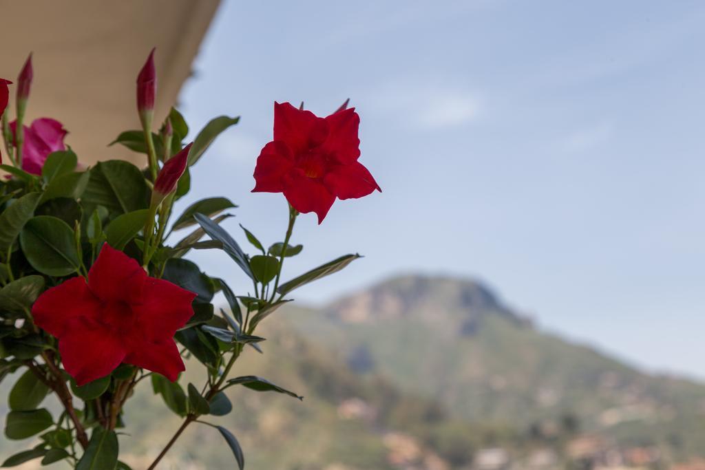 Chambre Double - Vue sur Montagne